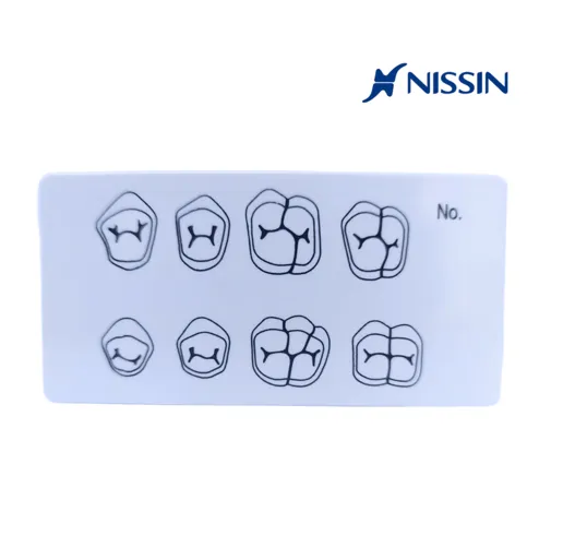 PLACA DENTOBACTERIANA NISSIN