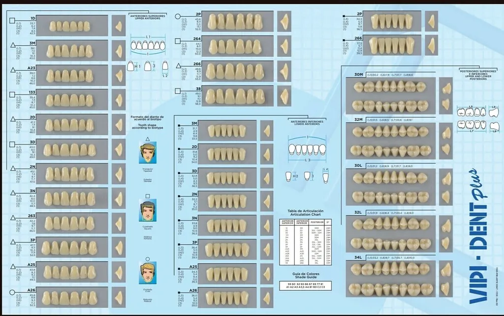 TABLILLAS DE ACRILICO ANT/INF 62 VIPI DENT (2D)