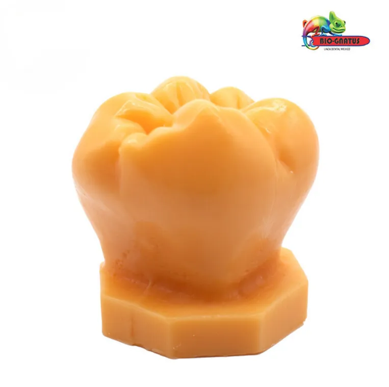 [BIOCAR] CERA DE FORMA DE MUELA CON CARNAUVA 100 GR BIO GNATUS