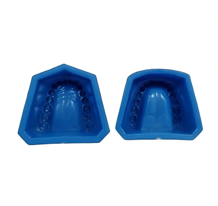 MOLDE TIPODONTO ADULTO